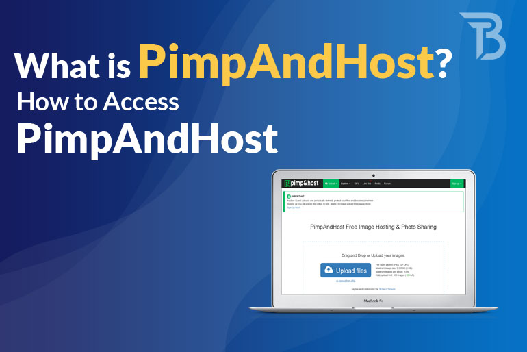 What is PimpAndHost? How to Access PimpAndHost in 2024?